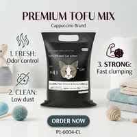 Litière pour chat OEM ODM anti-poussière, agglomérante, biodégradable, 10 kg, contrôle des odeurs, absorption rapide