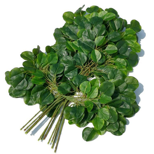 Rama de Ficus Artificial de Plástico, Ramas de Árbol de Ficus con Tacto <span class=keywords><strong>Real</strong></span>, Hojas de Ficus Verdes para Decoración - Product Image 5