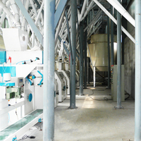 100-300T/24H entièrement automatique blé maïs maïs semoule riz rouleau farine rectifieuse moulin à farine Machine de traitement des grains