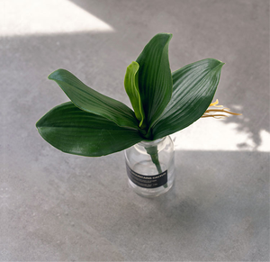 Filme Hidratante Toque Borboleta Planta Simulada Orquídea Borboleta Chinesa Artificial Orquídea Folhas Vasos Planta Bonsai Rose - Product Image 2