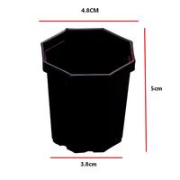 Vente en gros de petits pots à fleurs de 5 cm, pots à graines en plastique multi-spécifications, pots noirs pour plantes succulentes vertes