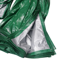 MILLION Pe Bâche, "bâche en plastique verte" 3m * 6m Matériel Pe Bâche Vente Chaude Yémen Saoudien Vert Argent 70g 75g