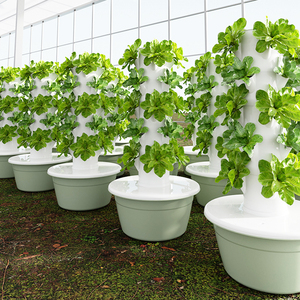 Tour <span class=keywords><strong>hydroponique</strong></span> verticale à 9 niveaux pour la <span class=keywords><strong>culture</strong></span> hors-sol de fleurs et de laitues, avec éclairage LED pour la croissance des plantes - Product Image 2
