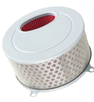 Filtre à air compatible avec Daeline DAELIM DAYSTAR125 VL125 - Purificateur d'air 17213BA1000