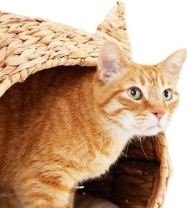 Lit de tête de chat en paille avec panier en jonc de mer tissage oreiller lavable amovible insérer panier tissage lit en rotin tête de chat en forme - Product Image 6