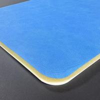 Coussin médical anti-radiation en sulfate de baryum et silicone, taille personnalisable