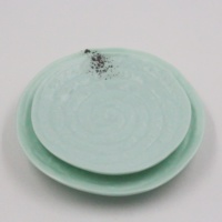 Watergolfdesign Melamine Bord Onbreekbaar Vaatwasmachinebestendig BPA Vrij Onregelmatige Vormen Desserts Fruit Pasta Snack Sushi 100 stuks