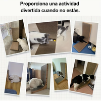 Griffoir pour chat en forme de L, résistant à l'usure et à faible production de poussière, griffoir mural vertical, maison pour chat intégrée, jouet en carton ondulé