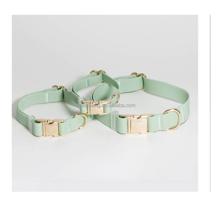 <span class=keywords><strong>Collar</strong></span> de perro de TPU sólido ajustable de 3/4 pulgadas, equipo de entrenamiento de nailon de liberación rápida, cintas de plástico impermeables, collares sólidos para mascotas - Product Image 4