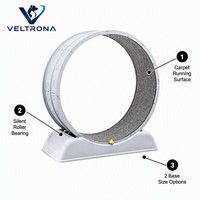 Roue d'exercice pour chat en plastique gris, motif patte segmenté, tapis silencieux, jouet de course, 2 tailles de base, 7 kg
