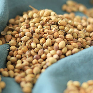 Hochwertige getrocknete Koriander samen und Gewürze Rohe Ad-Dried Single Herb & Spice Produkt Großhandel Lieferung - Product Image 4