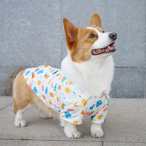 Chemise pour chien Corgi, imprimé feuille de bananier et ananas, vêtements d'été décontractés fins pour petits chiens - Product Image 2