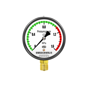 YB-150 di precisione manometro 0.4 grandezza 0.25 <span class=keywords><strong>scala</strong></span> Richter 4 Mpa gamma 0-0.25 manometro di precisione - Product Image 4