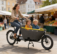 Bicicletta Elettrica da Carico Stile Olandese, Bici Cargo Familiare con Carico Frontale, Bici da Carico per Bambini, Motore BAFANG 250W, Capacità di Carico 150KG