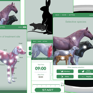 कक्षा 4 पशु भूमध्य रेखा लेजर चिकित्सा उपकरण 980nm 810nm 810nm: पशु चिकित्सा उपयोग के लिए - Product Image 3