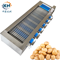 Rode Dadels Grapefruit Aardappel Wassen Taro Zoete Tomatennoot Mango Fruit Schoonmaken Veren Afval Automatisch Commercieel Gebruik Sorteren