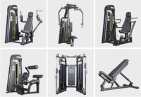 Máquina de Poleas para Ejercicios de Dorsal y Triceps