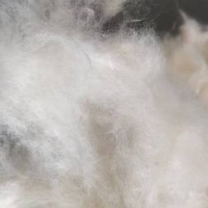 Doğal <span class=keywords><strong>Kapok</strong></span> Elyaf Dolgusu Organik Yumuşak <span class=keywords><strong>Kapok</strong></span> Dolgu Yastıklar Minderler Yatak Takımları için - Product Image 3