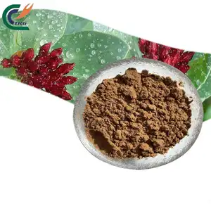 Alta Qualidade rhodiola rosea raiz extrato rhodiola rosea Rhodiola rosea pó