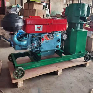 Nouveau moulin à granulés de moteur Diesel en acier inoxydable pour la volaille et le poulet alimentent le moteur de granulateur animal 220V comme composant de base - Product Image 4