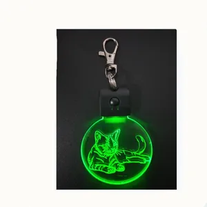 Porte-clés LED 3d en acrylique, design d'animaux, lumière, joli, design, livraison gratuite
