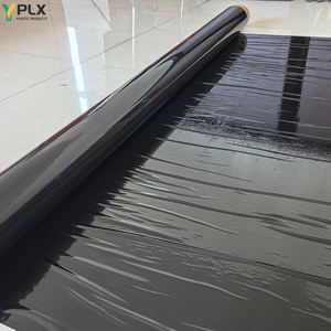 Avec trous Pe Mulch Film Isolene Plastic Mulch Agricultural Plants Cover Film Frost <span class=keywords><strong>Protection</strong></span> Keep Warm Control for Sale - Product Image 2