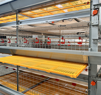 Vente chaude Cage à batterie entièrement automatique pour l'élevage de poulets de chair Grande ferme avicole Capacité de plus de 50 000 oiseaux