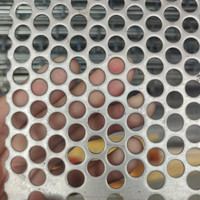 Grille de haut-parleur en acier inoxydable SUS316 perforée pour systèmes audio et panneau perforé de protection