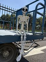 SIPKLR Décoration d'Halloween squelette de singe de 85 cm, accessoire de squelette animal en plastique durable pour la décoration de maison hantée et de cimetière