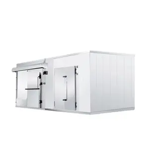 Ruang dingin berjalan di wadah freezer mesin pendingin penyimpanan dingin untuk daging dan Makanan Laut