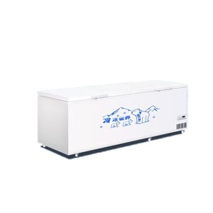 Congelador Horizontal de Último Diseño con Garantía Comercial para Alimentos - Product Image 3