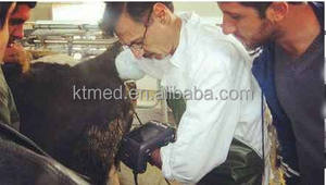 <span class=keywords><strong>เครื่อง</strong></span>อัลตราซาวด์สัตวแพทย์แบบพกพา <span class=keywords><strong>เครื่อง</strong></span>อัลตราซาวด์สัตว์เลี้ยง อีโคกราโฟสัตวแพทย์แบบพกพา อัลตราซาวด์สัตวแพทย์ - Product Image 3