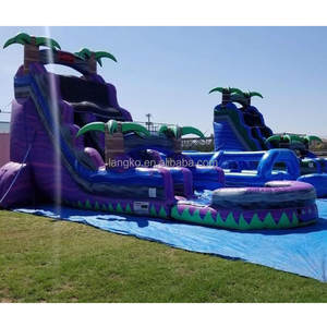 Toboggan aquatique gonflable commercial 2026 pour adultes et enfants, motif palmier, avec piscine intégrée, à prix abordable - Product Image 1