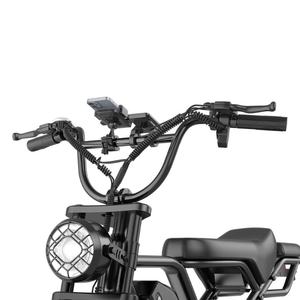 Bicicleta Eléctrica Vintage de Doble Asiento HEADEER BK20 de 20 Pulgadas con Neumáticos Anchos, Batería de 48V 20Ah, Motor de 750W y Velocidad Máxima de 50km/h, desde Almacén de la UE - Product Image 4