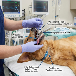 Formation en intubation endotrachéale pour les anesthésistes, les médecins d'urgence et les équipes de soins intensifs. - Product Image 2
