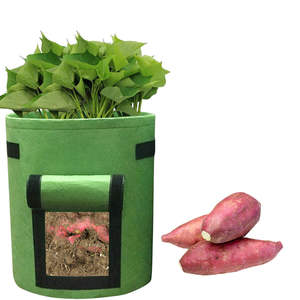 Offres Spéciales vente en gros <span class=keywords><strong>de</strong></span> pommes <span class=keywords><strong>de</strong></span> <span class=keywords><strong>terre</strong></span> poussent avec des Pots <span class=keywords><strong>de</strong></span> plantes à rabat Pots <span class=keywords><strong>de</strong></span> jardin en tissu - Product Image 3