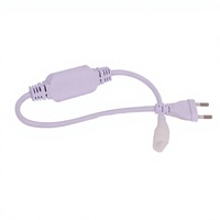 Vente en gros de bande lumineuse LED étanche avec prise EU/US/UK, 4A, 8A, 15A, 2 broches, 220V, 50m/80m/100m, Ra80