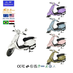 1000W Retro Electric Scooter, 10" Wheels, Drum &amp; Disc Brakes, 45km/<strong>h</strong> Commuting E-Scooter Customizable Products Made in China - Product Image 6
