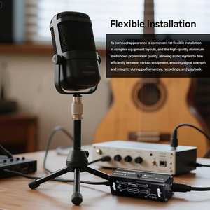 Aislador de Señal de <span class=keywords><strong>Audio</strong></span> BHA BD-BOX, Mezclador con Interfaz de 6.35mm, Etapa Pasiva de Cancelación de Ruido, 12 Años de Garantía, Precio de Fábrica al por Mayor, OEM, CE, FCC - Product Image 4