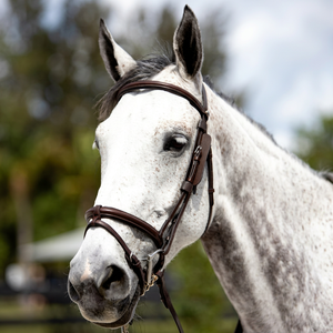 Brida de cuero marrón Annabelle Equestrian con cabezada acolchada y elevada para equitación inglesa, fabricante y proveedor de equipo ecuestre. - Product Image 1