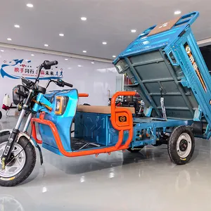 1500W 공장 맞춤화화물 전기 세발 자전거 오토바이 강한 베어링 용량 전기 세발 자전거