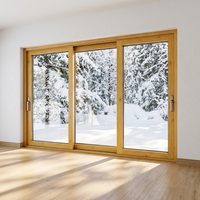 Ventanas Corredizas de Madera Revestidas de Aluminio para Casa Pasiva, con Malla de Acero Inoxidable, Apertura Horizontal, Aislamiento Térmico, Uso Exterior, Cocina