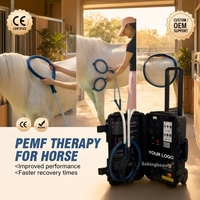 Appareil professionnel de thérapie par champ électromagnétique pulsé (PEMF) vétérinaire pour chevaux