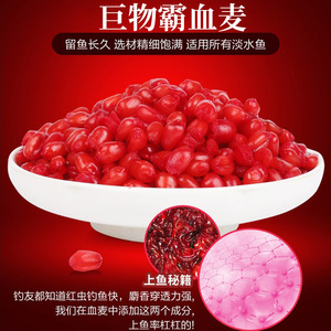 Cebo granular de trigo Western King Blood para pesca de carpa cruciana en agua dulce, 1000 unidades por frasco - Product Image 4