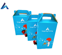Sac à bavette jetable portable en aluminium personnalisé 1L/2L/3L/5L/10L/20L avec emballage à valve