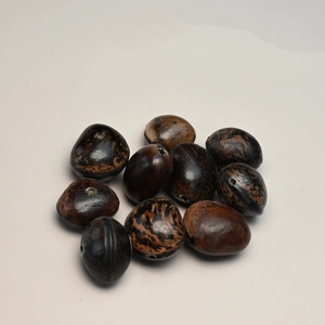 Al por mayor: Semillas de Bodhi de madera perforadas, cuentas de plantas secas para accesorios de campanas de viento, materiales para manualidades DIY - Product Image 5