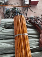 Balai à manche en bois portable de haute qualité, tête en plastique recouverte de PVC, léger, durable, doux, écologique, pour le nettoyage des sols