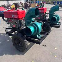 Pompe à eau d'irrigation à moteur diesel haute pression personnalisée avec livraison gratuite, pompe à vide agricole, joint en acier inoxydable