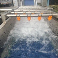 Industriële groente- en fruitwasmachine met motor en pomp voor het reinigen van sojabonen en maïs