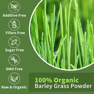 Gummies véganes à l'herbe d'orge avec vitamine C pour la santé intestinale et digestive – Gummies à l'herbe d'orge personnalisables en marque blanche - Product Image 4